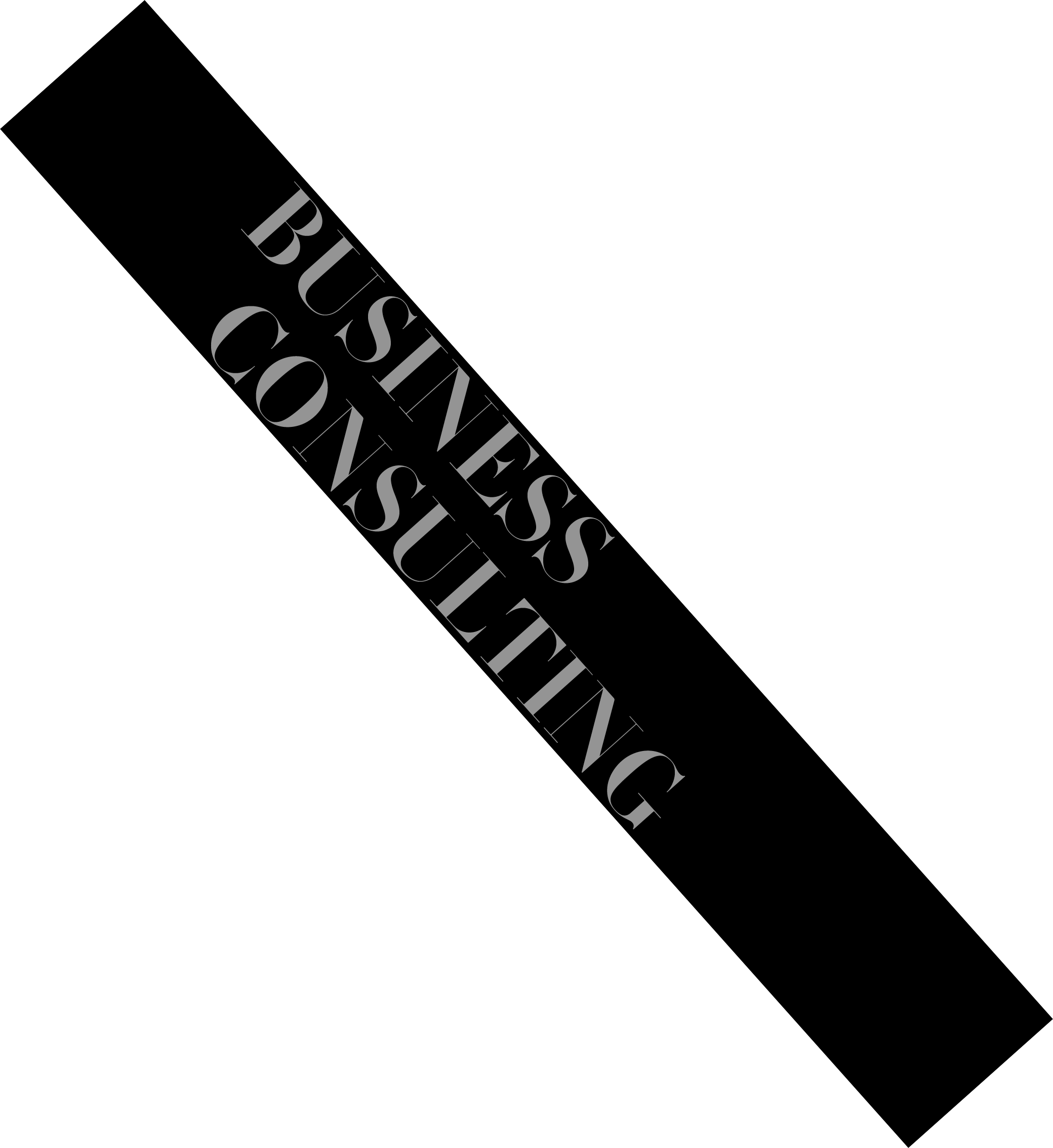 bussiness consulting